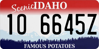 ID license plate 1O6645Z