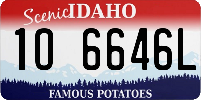 ID license plate 1O6646L