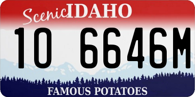 ID license plate 1O6646M