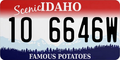 ID license plate 1O6646W