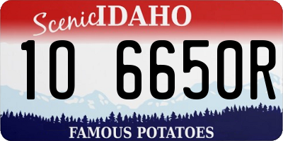 ID license plate 1O6650R