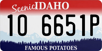 ID license plate 1O6651P