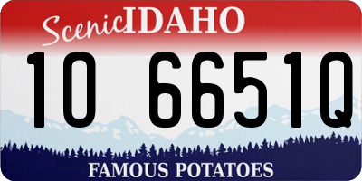ID license plate 1O6651Q