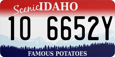 ID license plate 1O6652Y