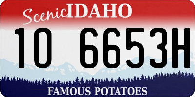 ID license plate 1O6653H