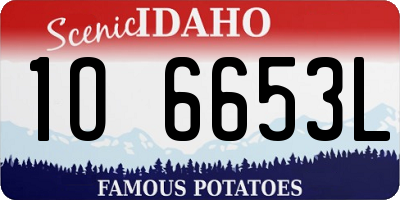 ID license plate 1O6653L