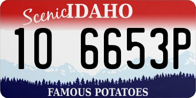 ID license plate 1O6653P