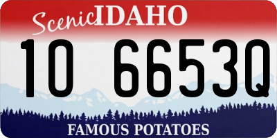 ID license plate 1O6653Q
