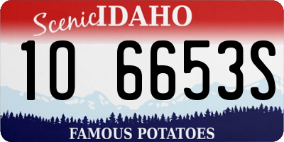 ID license plate 1O6653S