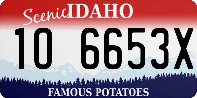 ID license plate 1O6653X