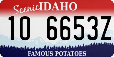ID license plate 1O6653Z