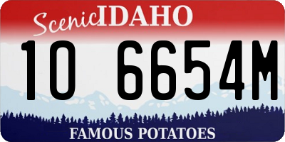 ID license plate 1O6654M