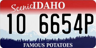 ID license plate 1O6654P