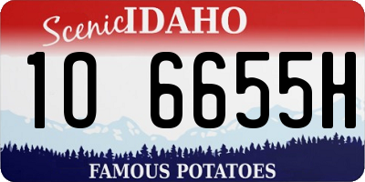 ID license plate 1O6655H