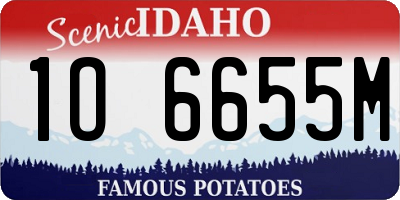 ID license plate 1O6655M