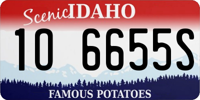 ID license plate 1O6655S
