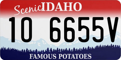 ID license plate 1O6655V