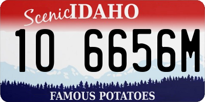 ID license plate 1O6656M