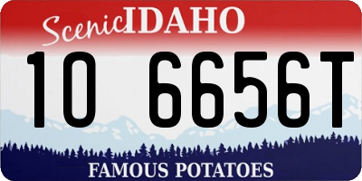 ID license plate 1O6656T
