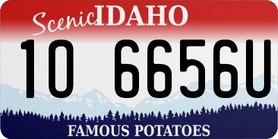 ID license plate 1O6656U
