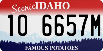 ID license plate 1O6657M