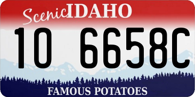 ID license plate 1O6658C