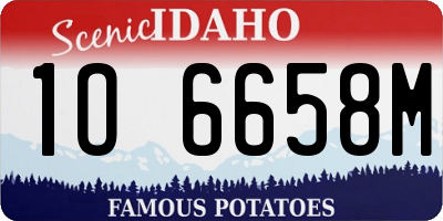 ID license plate 1O6658M