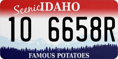 ID license plate 1O6658R