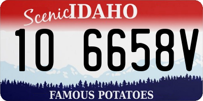 ID license plate 1O6658V