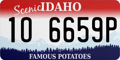 ID license plate 1O6659P