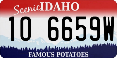 ID license plate 1O6659W