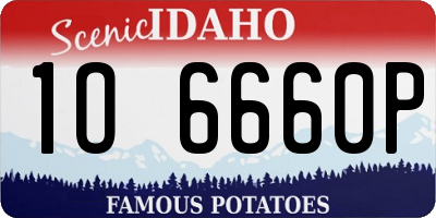 ID license plate 1O6660P