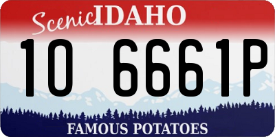 ID license plate 1O6661P