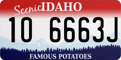 ID license plate 1O6663J