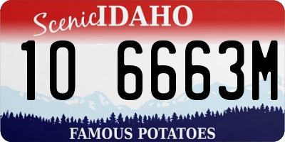 ID license plate 1O6663M