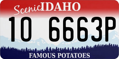 ID license plate 1O6663P