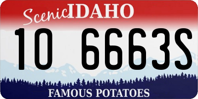 ID license plate 1O6663S