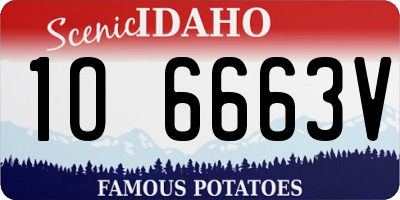 ID license plate 1O6663V