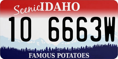 ID license plate 1O6663W