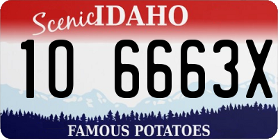 ID license plate 1O6663X