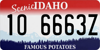 ID license plate 1O6663Z