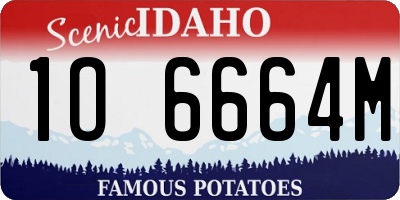 ID license plate 1O6664M