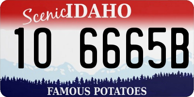 ID license plate 1O6665B