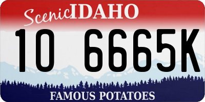 ID license plate 1O6665K