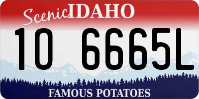 ID license plate 1O6665L