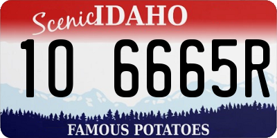 ID license plate 1O6665R
