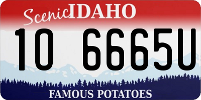 ID license plate 1O6665U