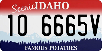 ID license plate 1O6665V