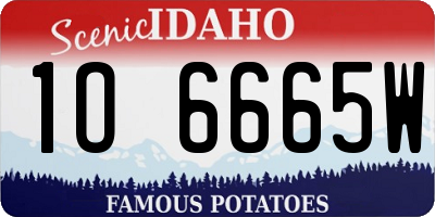 ID license plate 1O6665W