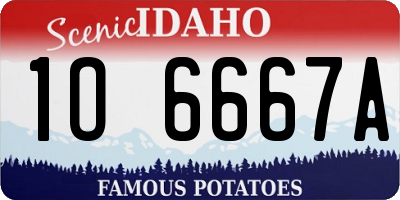 ID license plate 1O6667A